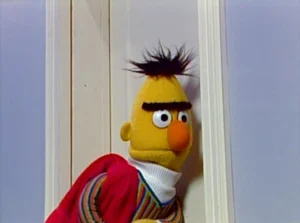 Bert