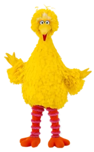Big Bird