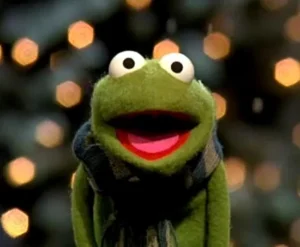 Robin the Frog