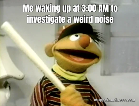 Meme