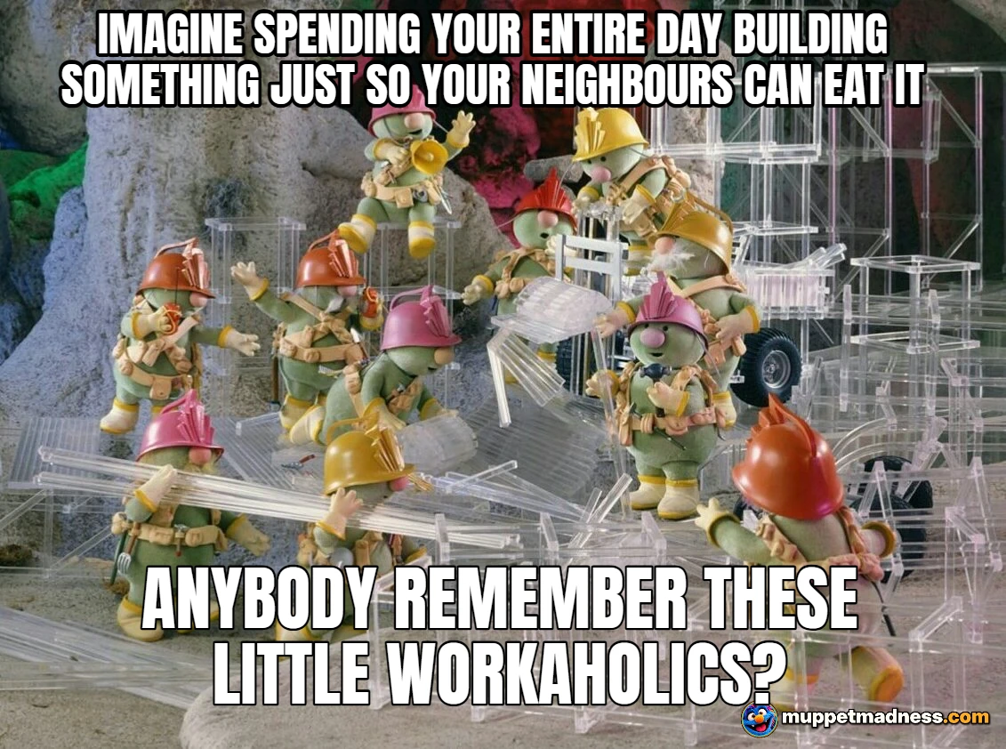 Meme