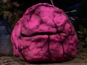 The Glob