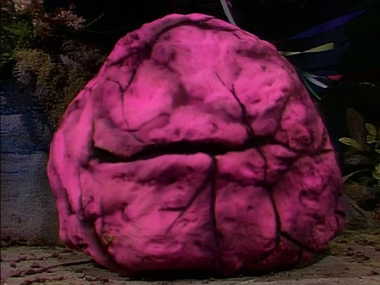 The Glob