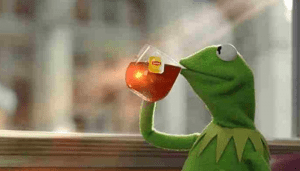 Read more about the article The Evolution and Impact of the Famous Kermit Meme
