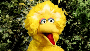 Read more about the article Big Bird: The Timeless Icon of Kindness and Learning