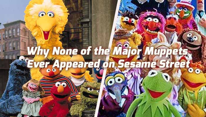 Read more about the article Why None of the Major Muppets Ever Appeared on Sesame Street