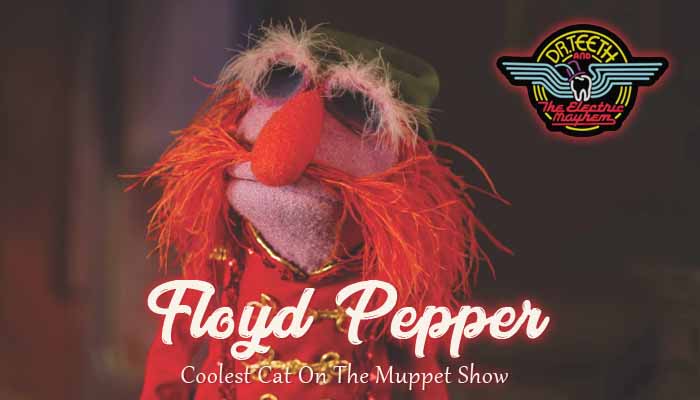 Read more about the article Floyd Pepper The Coolest Cat in The Muppets 70s Era
