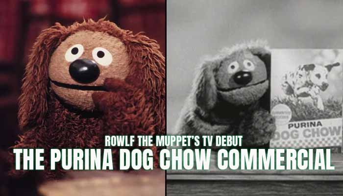 You are currently viewing Rowlf the Muppet’s TV Debut: The Purina Dog Chow Commercial