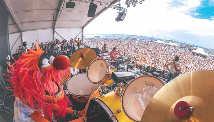 animal muppet drummer