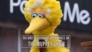 Read more about the article Big Bird’s Legendary Appearances on The Muppet Show