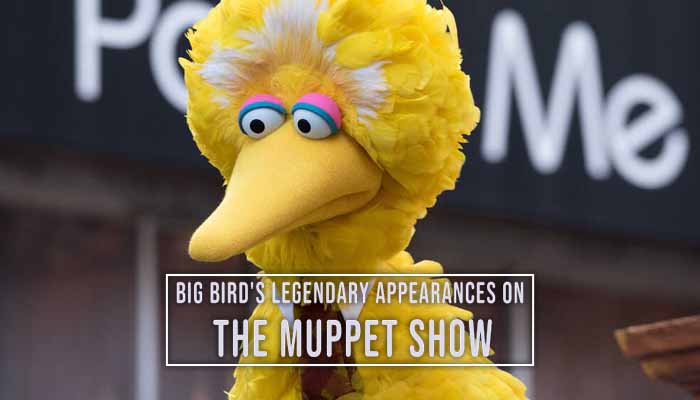 You are currently viewing Big Bird’s Legendary Appearances on The Muppet Show