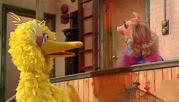 big bird muppet show