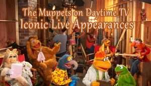 Read more about the article The Muppets on Daytime TV Iconic Live Appearances