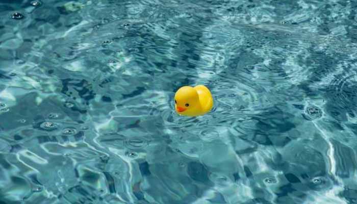 rubber duck sesame street