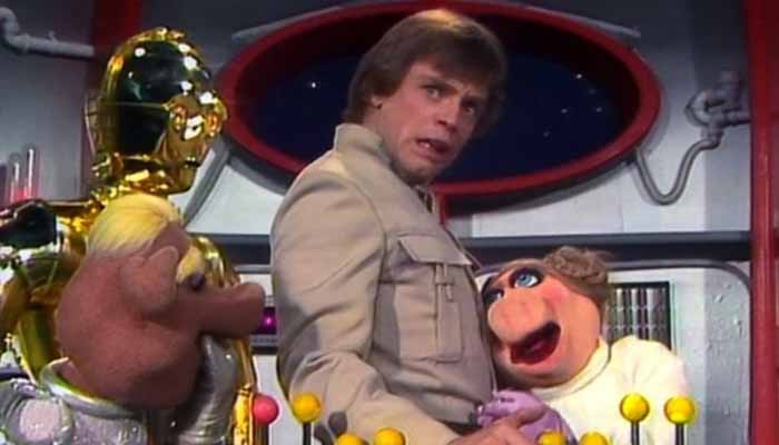 pigs in space