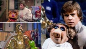 Read more about the article Wocka Wookiee! Star Wars Muppets’ Most Hilarious Crossover