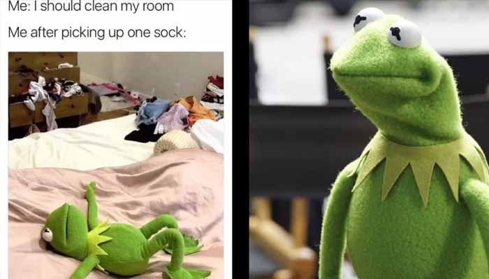 kermit memes